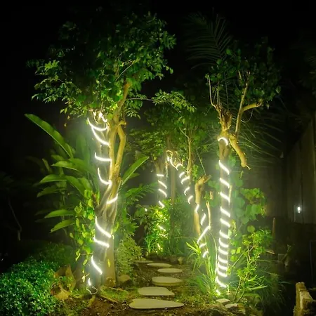 Asya Villa